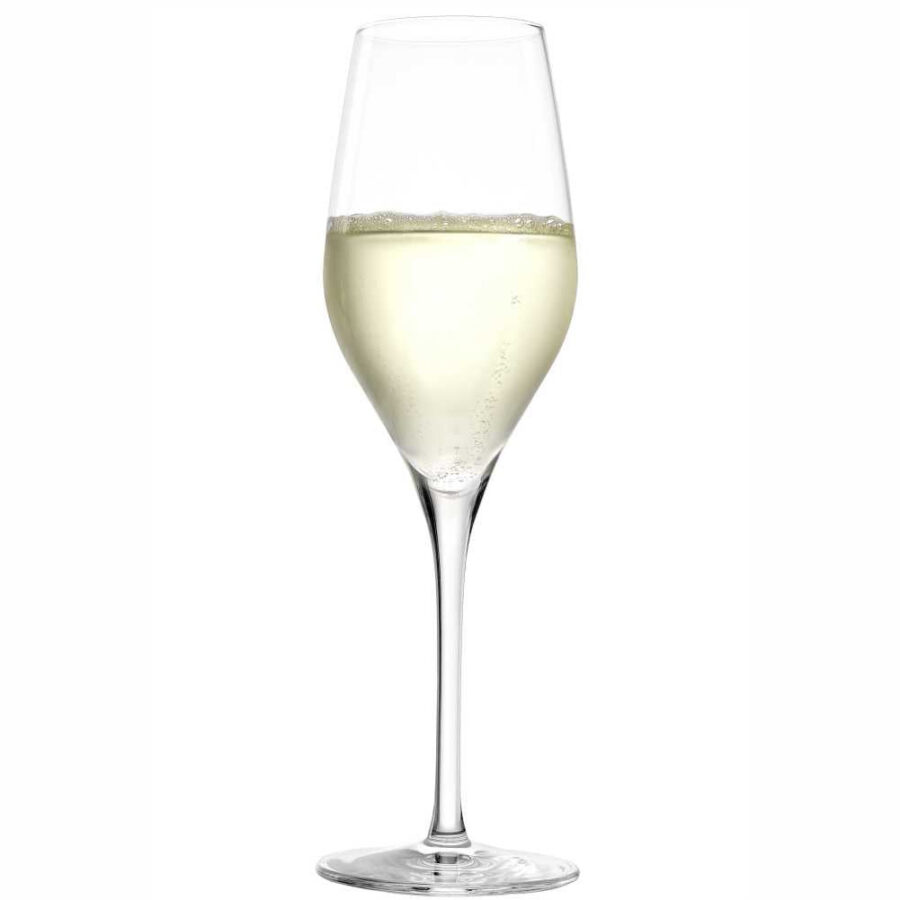 Elegant Champagne Flute 9 oz