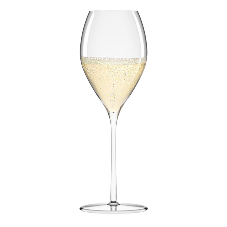 Tulip Champagne Glass 14 1/2 oz